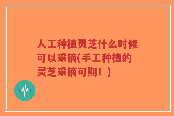 人工种植灵芝什么时候可以采摘(手工种植的灵芝采摘可期！)