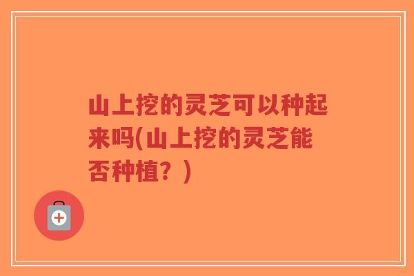 山上挖的灵芝可以种起来吗(山上挖的灵芝能否种植？)
