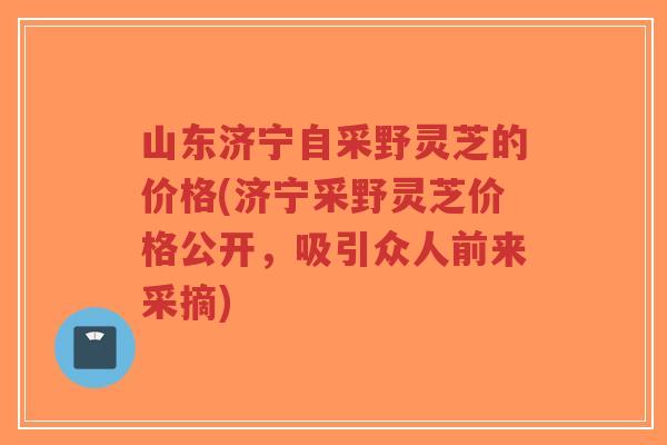 山东济宁自采野灵芝的价格(济宁采野灵芝价格公开，吸引众人前来采摘)