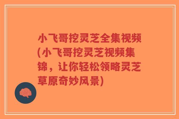 小飞哥挖灵芝全集视频(小飞哥挖灵芝视频集锦，让你轻松领略灵芝草原奇妙风景)