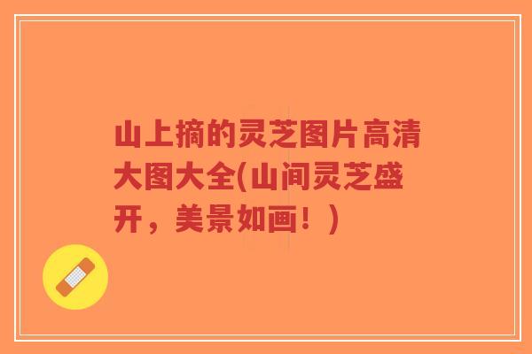 山上摘的灵芝图片高清大图大全(山间灵芝盛开，美景如画！)