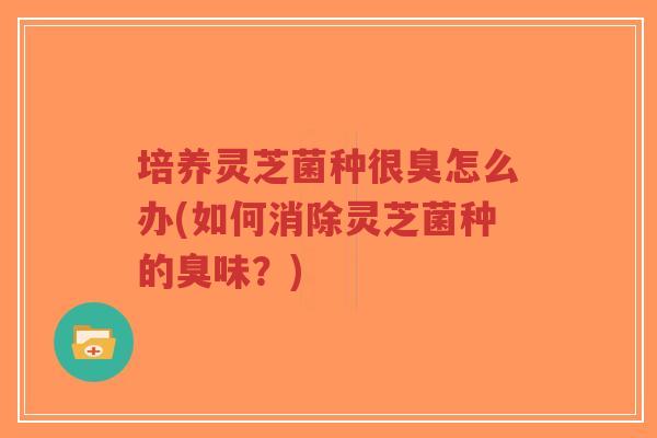 培养灵芝菌种很臭怎么办(如何消除灵芝菌种的臭味？)
