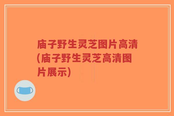 庙子野生灵芝图片高清(庙子野生灵芝高清图片展示)