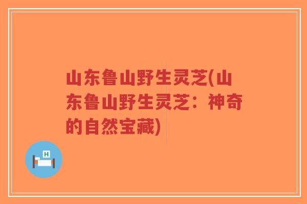 山东鲁山野生灵芝(山东鲁山野生灵芝：神奇的自然宝藏)