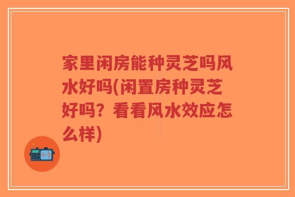 家里闲房能种灵芝吗风水好吗(闲置房种灵芝好吗？看看风水效应怎么样)