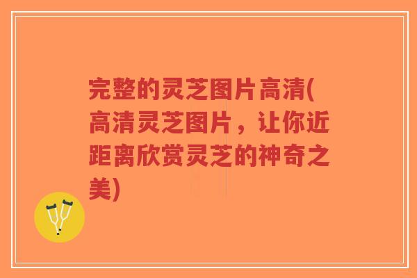完整的灵芝图片高清(高清灵芝图片，让你近距离欣赏灵芝的神奇之美)