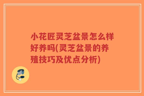 小花匠灵芝盆景怎么样好养吗(灵芝盆景的养殖技巧及优点分析)