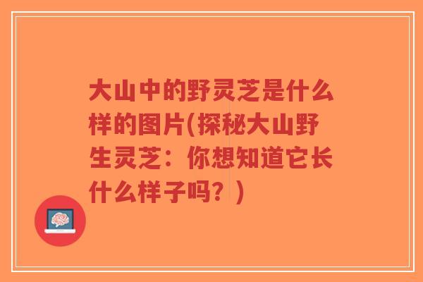 大山中的野灵芝是什么样的图片(探秘大山野生灵芝：你想知道它长什么样子吗？)
