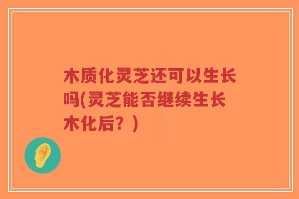 木质化灵芝还可以生长吗(灵芝能否继续生长木化后？)