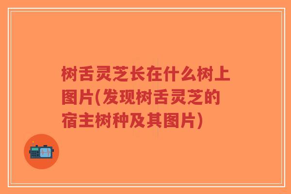 树舌灵芝长在什么树上图片(发现树舌灵芝的宿主树种及其图片)