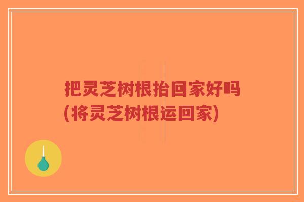 把灵芝树根抬回家好吗(将灵芝树根运回家)