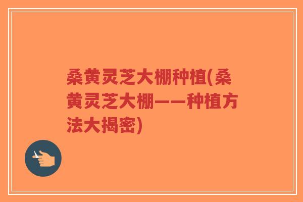 桑黄灵芝大棚种植(桑黄灵芝大棚——种植方法大揭密)