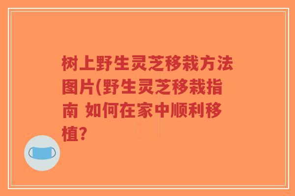 树上野生灵芝移栽方法图片(野生灵芝移栽指南 如何在家中顺利移植？