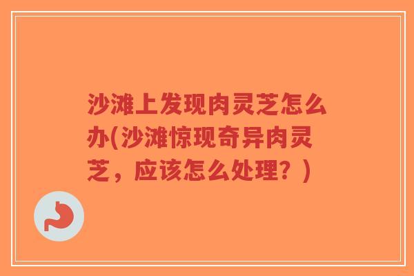 沙滩上发现肉灵芝怎么办(沙滩惊现奇异肉灵芝，应该怎么处理？)