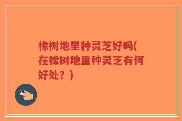 橡树地里种灵芝好吗(在橡树地里种灵芝有何好处？)