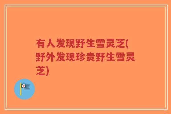 有人发现野生雪灵芝(野外发现珍贵野生雪灵芝)