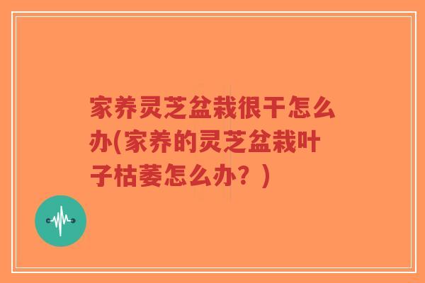 家养灵芝盆栽很干怎么办(家养的灵芝盆栽叶子枯萎怎么办？)