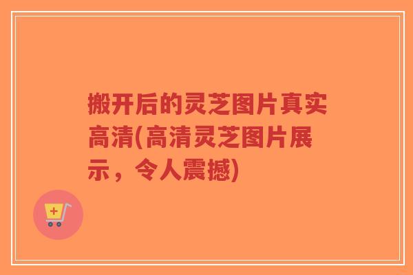 搬开后的灵芝图片真实高清(高清灵芝图片展示，令人震撼)