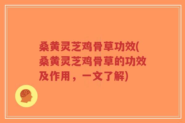 桑黄灵芝鸡骨草功效(桑黄灵芝鸡骨草的功效及作用，一文了解)