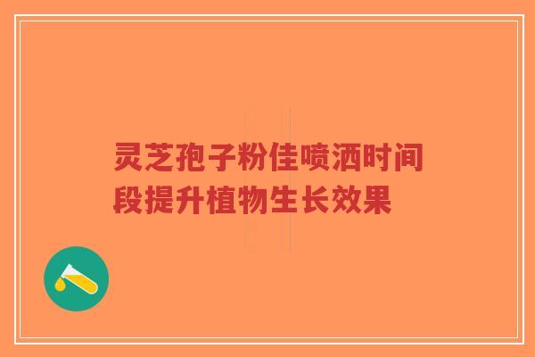 灵芝孢子粉佳喷洒时间段提升植物生长效果