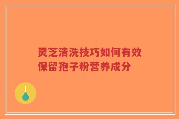 灵芝清洗技巧如何有效保留孢子粉营养成分