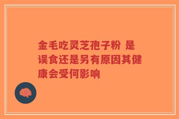 金毛吃灵芝孢子粉 是误食还是另有原因其健康会受何影响