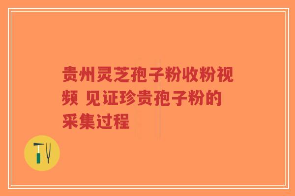 贵州灵芝孢子粉收粉视频 见证珍贵孢子粉的采集过程
