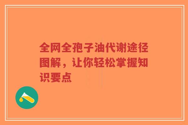 全网全孢子油代谢途径图解，让你轻松掌握知识要点