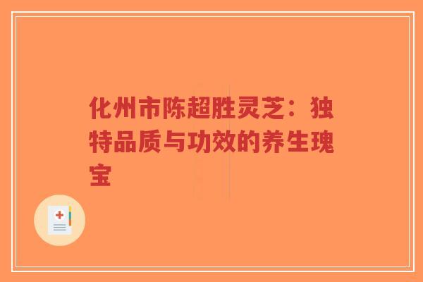 化州市陈超胜灵芝：独特品质与功效的养生瑰宝