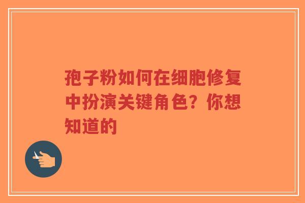 孢子粉如何在细胞修复中扮演关键角色？你想知道的