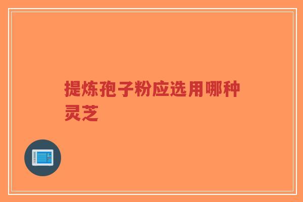 提炼孢子粉应选用哪种灵芝